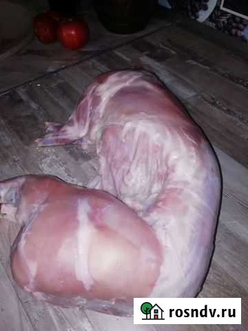 Мясо Кролика, мясо кур Бройлер, мясо Цесарки Заводоуковск - изображение 1