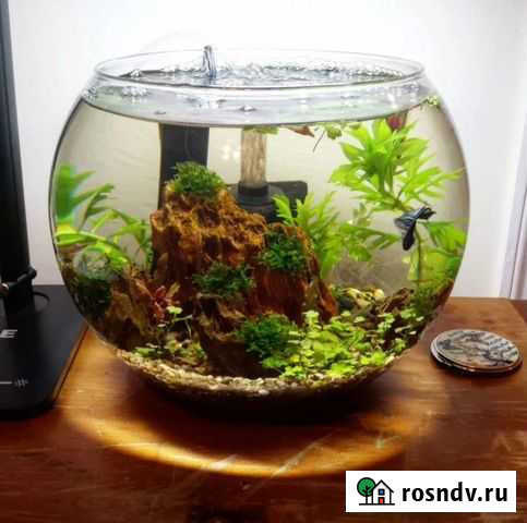 Мойщик аквариумов Петропавловск-Камчатский - изображение 1