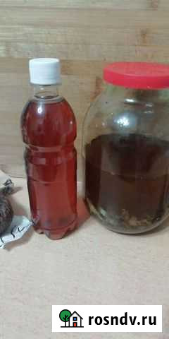 Домашняя настойка Курск - изображение 1