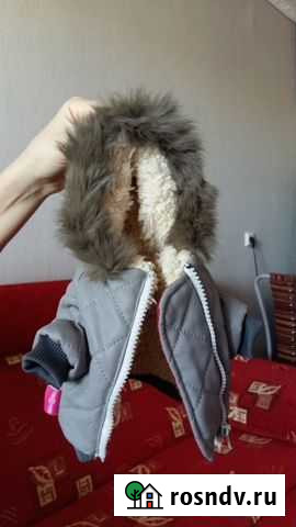 Курточка для собак Краснокаменск - изображение 1