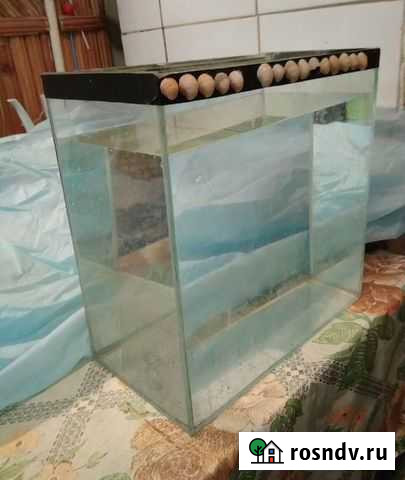 Аквариум небольшой стеклянный Саратов - изображение 1