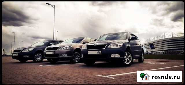 Аренда авто Калининград - изображение 1