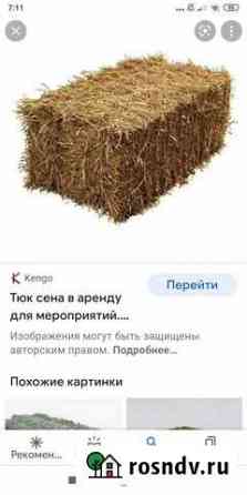 Сено солома в тюках рисовая Кизляр