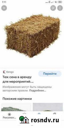 Сено солома в тюках рисовая Кизляр - изображение 1