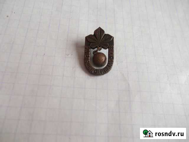 Болельщик Динамо Киев Оренбург - изображение 1