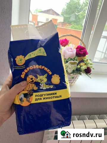 Подгузники для животных Мытищи - изображение 1