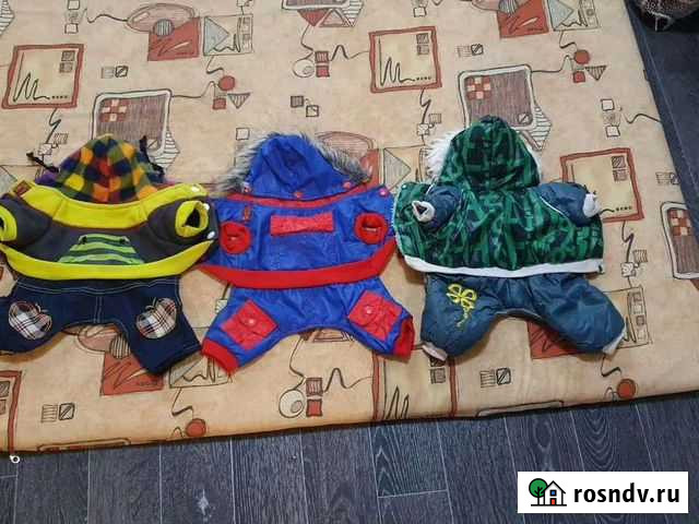 Одежда Для собак мелких пород Оленегорск - изображение 1