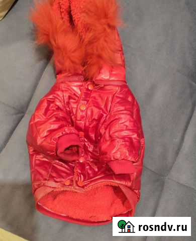 Одежда для средних собак Мытищи - изображение 1