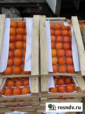 Хурма опт от 20 тонн 45р Мосрентген - изображение 1