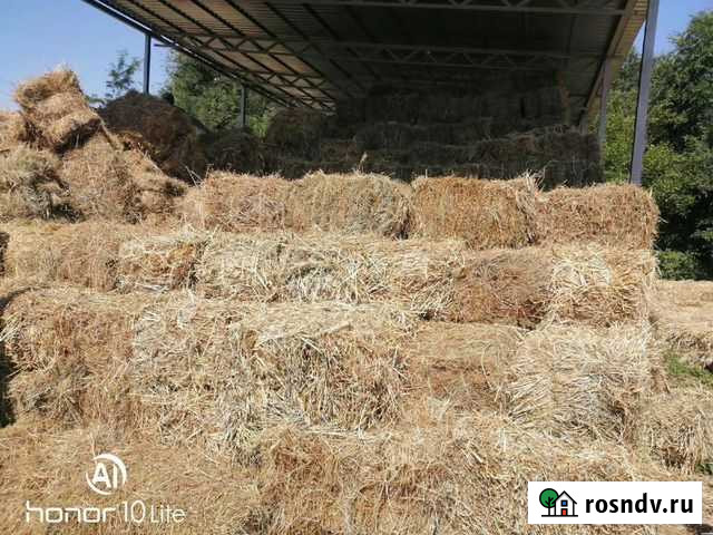 Продам сено в тюках Глебовка - изображение 1