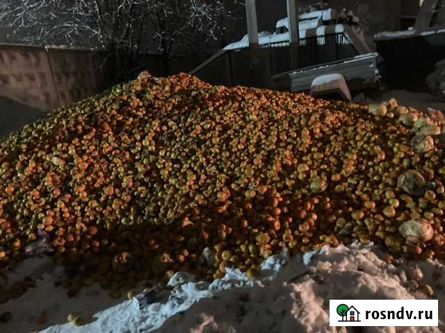 Смесь цитруса на корм Наро-Фоминск - изображение 1