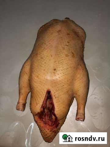 Мясо домашней птицы Туапсе - изображение 1