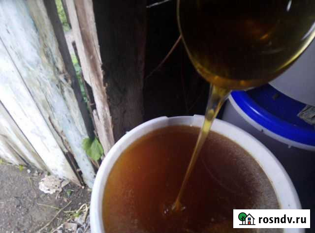 Мед подсолнух Гиагинская - изображение 1