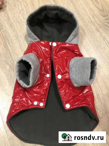 Одежда для собак мелких пород Владивосток - изображение 1