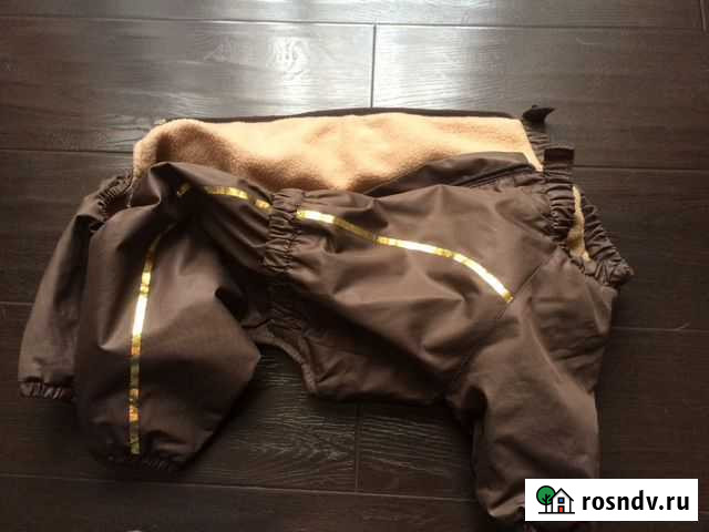 Костюм для собаки Краснознаменск - изображение 1