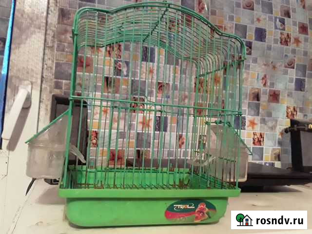 Клетка Прокопьевск - изображение 1