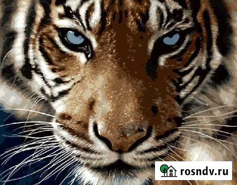 Картины по номерам Улан-Удэ - изображение 1