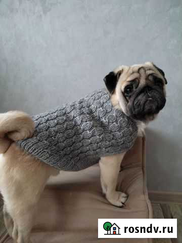 Жилетка для собаки Йошкар-Ола - изображение 1