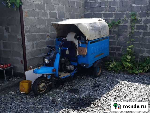 Муравей 2 Гизель - изображение 1