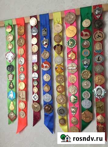 Ордена и медали Воронеж - изображение 1