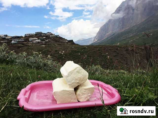 Овечий сыр Дербент - изображение 1