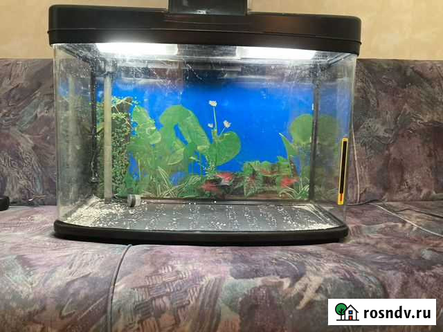 Украшение для аквариума Симферополь - изображение 1