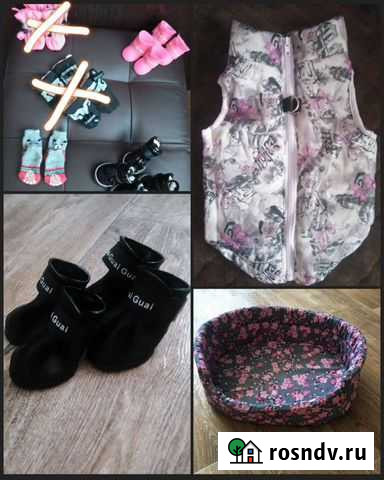 Обувь для собак Каменка - изображение 1