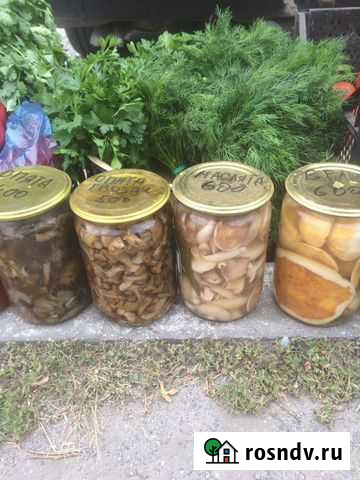 Грибы белые маслята опята Батайск - изображение 1