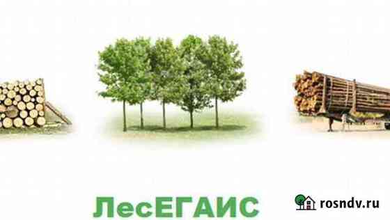 Специалист по лесегаис Екатеринбург