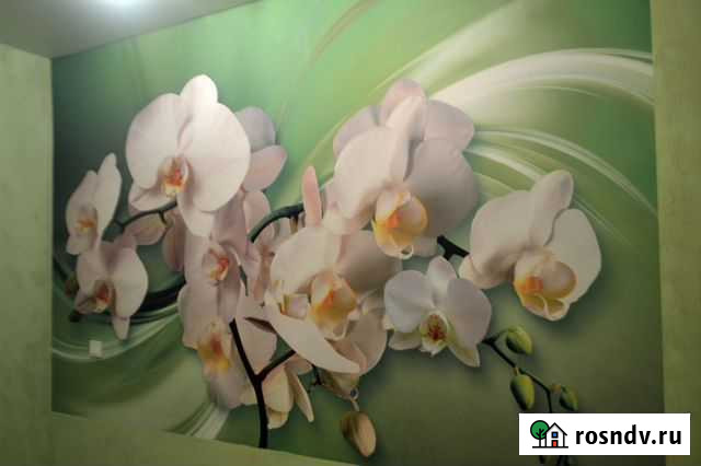 Поклейка обоев Дзержинск - изображение 1