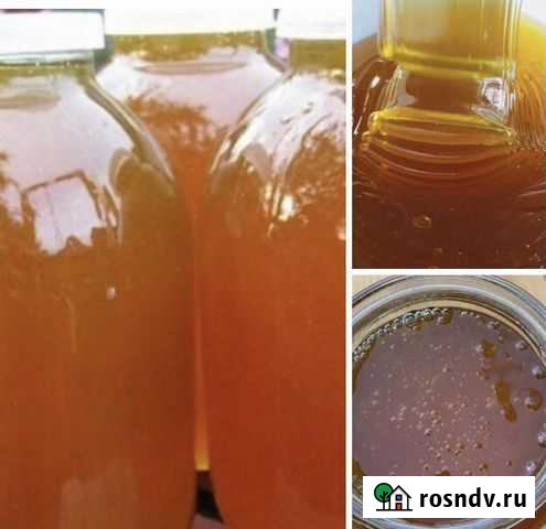 Мед Майский Горный Абинск - изображение 1