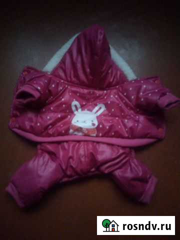 Одежда для маленьких собак Бузулук - изображение 1