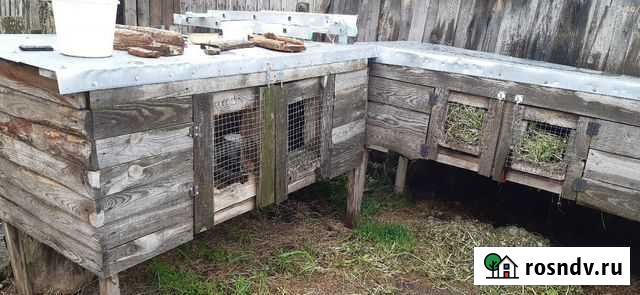Клетки для кроликов Трубчевск - изображение 1