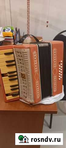 Аккордеон детский малыш Красноярск - изображение 1