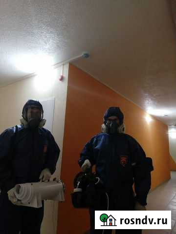 Дезинфекция Дезинсекция Дератизация Акарицидная об Богородск - изображение 1