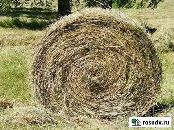 Сено в рулонах Красноярск