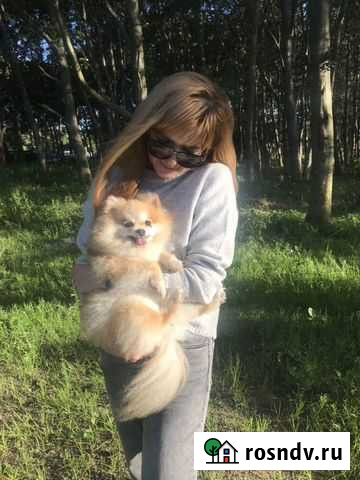 Репетитор по английскому языку Калининград - изображение 1