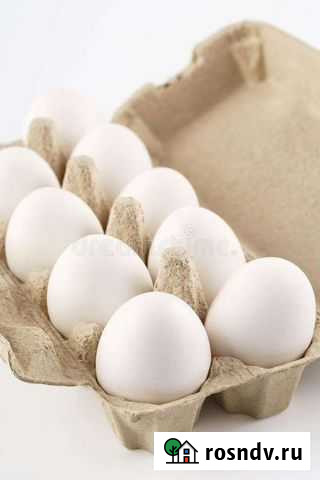 Домашние куриные яйца Балабаново - изображение 1
