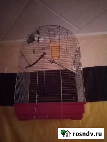 Клетка для попугая Старый Городок - изображение 1