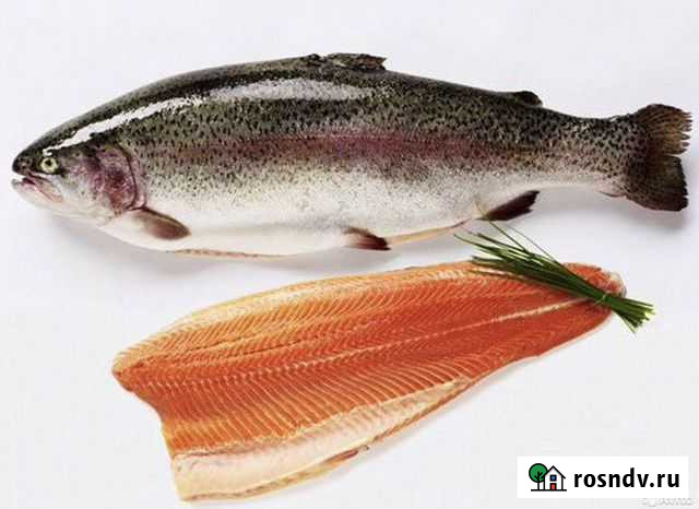 Форель охлажденная потрошеная 2,5-3кг Карелия Реутов - изображение 1