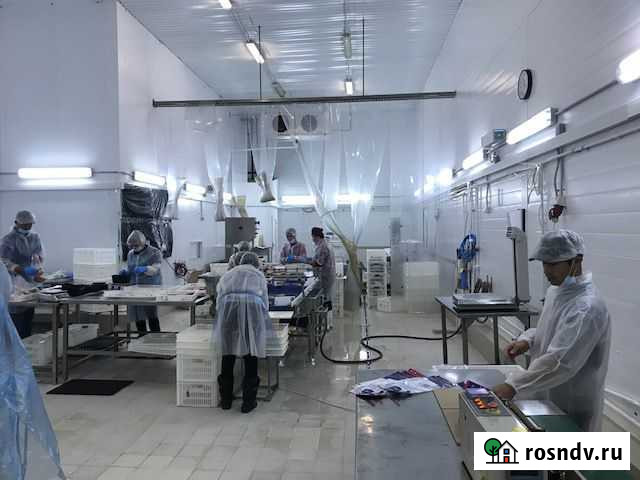 Оборудование для цеха по переработке рыбы/мяса Павловская Слобода - изображение 1