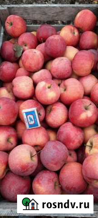Продам яблоки,сорт флорина Нартан - изображение 1