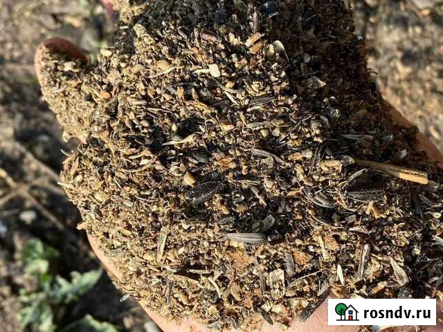 Отходы семечек Леваши - изображение 1