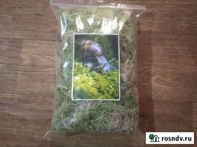 Мох для улиток Великий Новгород - изображение 1