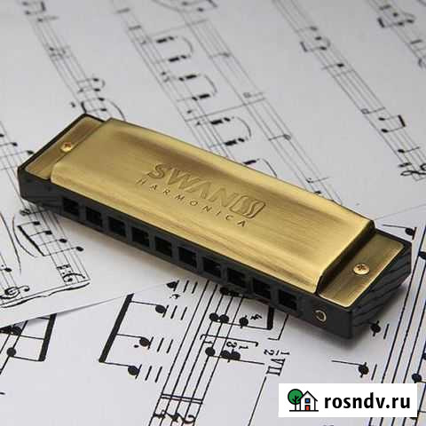 Swan бронзовая птица Волгоград - изображение 1