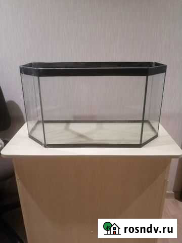 Аквариум бу Березовский - изображение 1