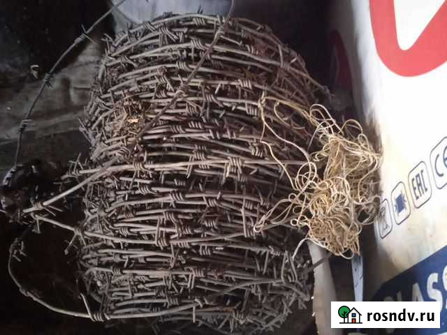 Колючая проволка Камень-на-Оби - изображение 1