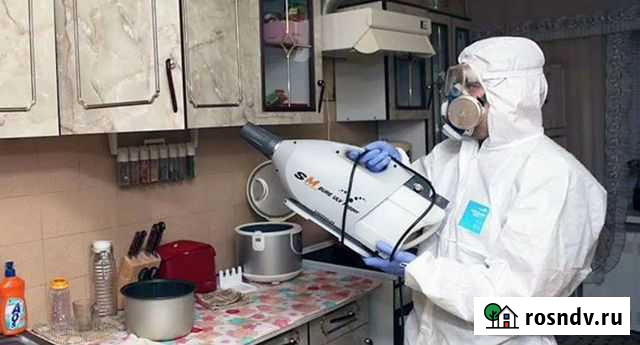 Уничтожение клопов тараканов, дезинсектор Екатеринбург - изображение 1