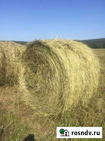 Сено Новочебоксарск - изображение 1