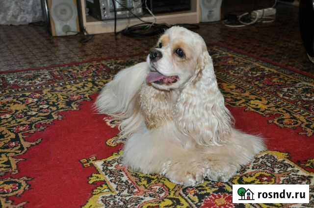 Вязка Яблоновский - изображение 1